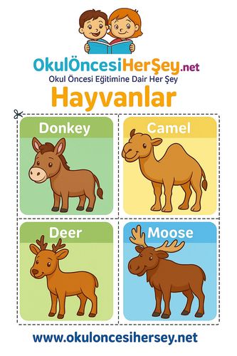 Çocuklar İçin  İngilizce Hayvanlar Flashkart  