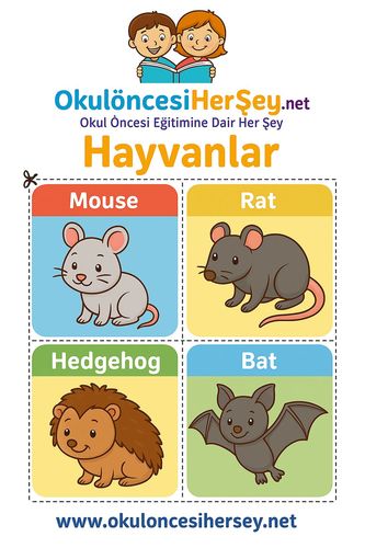 Çocuklar İçin  İngilizce Hayvanlar Flashkart  