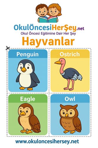 Çocuklar İçin  İngilizce Hayvanlar Flashkart  