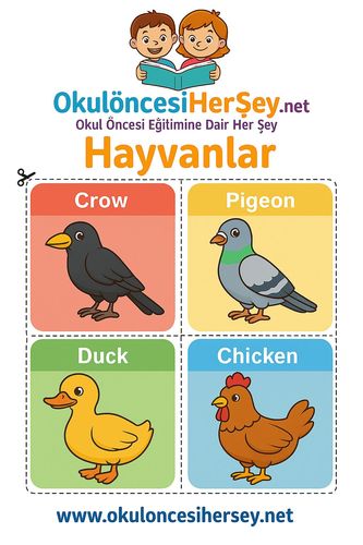 Çocuklar İçin  İngilizce Hayvanlar Flashkart  