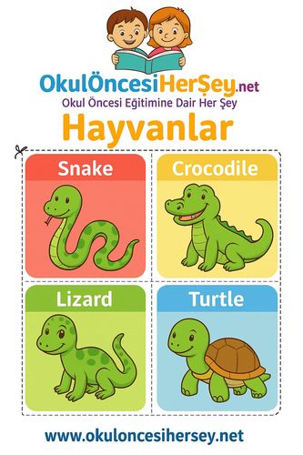 Çocuklar İçin  İngilizce Hayvanlar Flashkart  