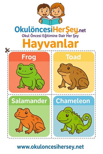 Çocuklar İçin  İngilizce Hayvanlar Flashkart  