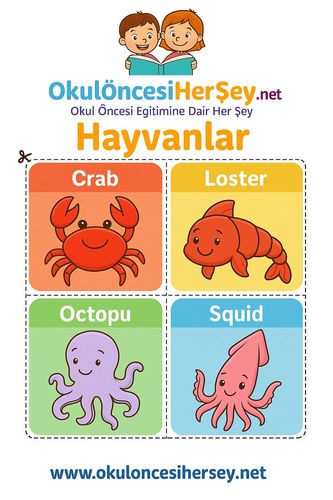 Çocuklar İçin  İngilizce Hayvanlar Flashkart  