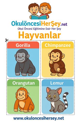 Çocuklar İçin  İngilizce Hayvanlar Flashkart  