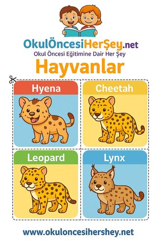 Çocuklar İçin  İngilizce Hayvanlar Flashkart  