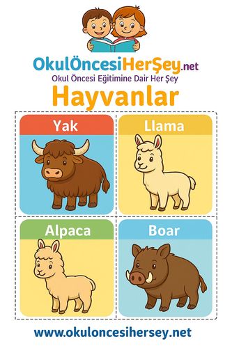 Çocuklar İçin  İngilizce Hayvanlar Flashkart  
