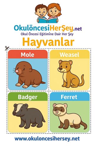 Çocuklar İçin  İngilizce Hayvanlar Flashkart  