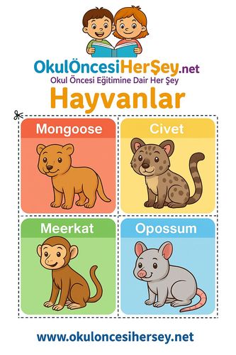 Çocuklar İçin  İngilizce Hayvanlar Flashkart  
