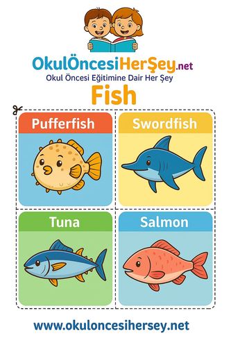 Çocuklar İçin  İngilizce Hayvanlar Flashkart  