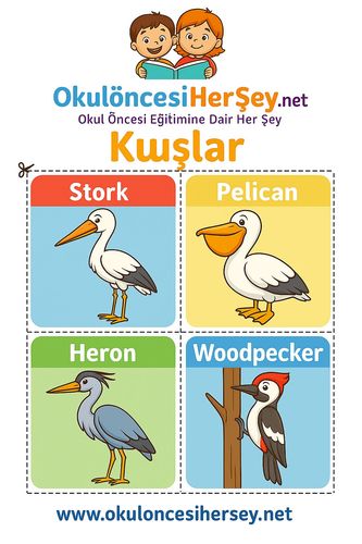 Çocuklar İçin  İngilizce Hayvanlar Flashkart  