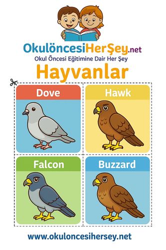 Çocuklar İçin  İngilizce Hayvanlar Flashkart  