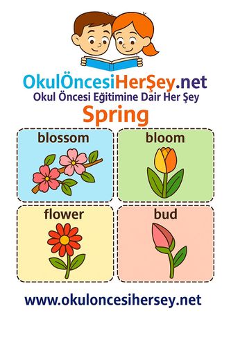 Çocuklar İçin  İngilizce Mevsimler Flashkart  