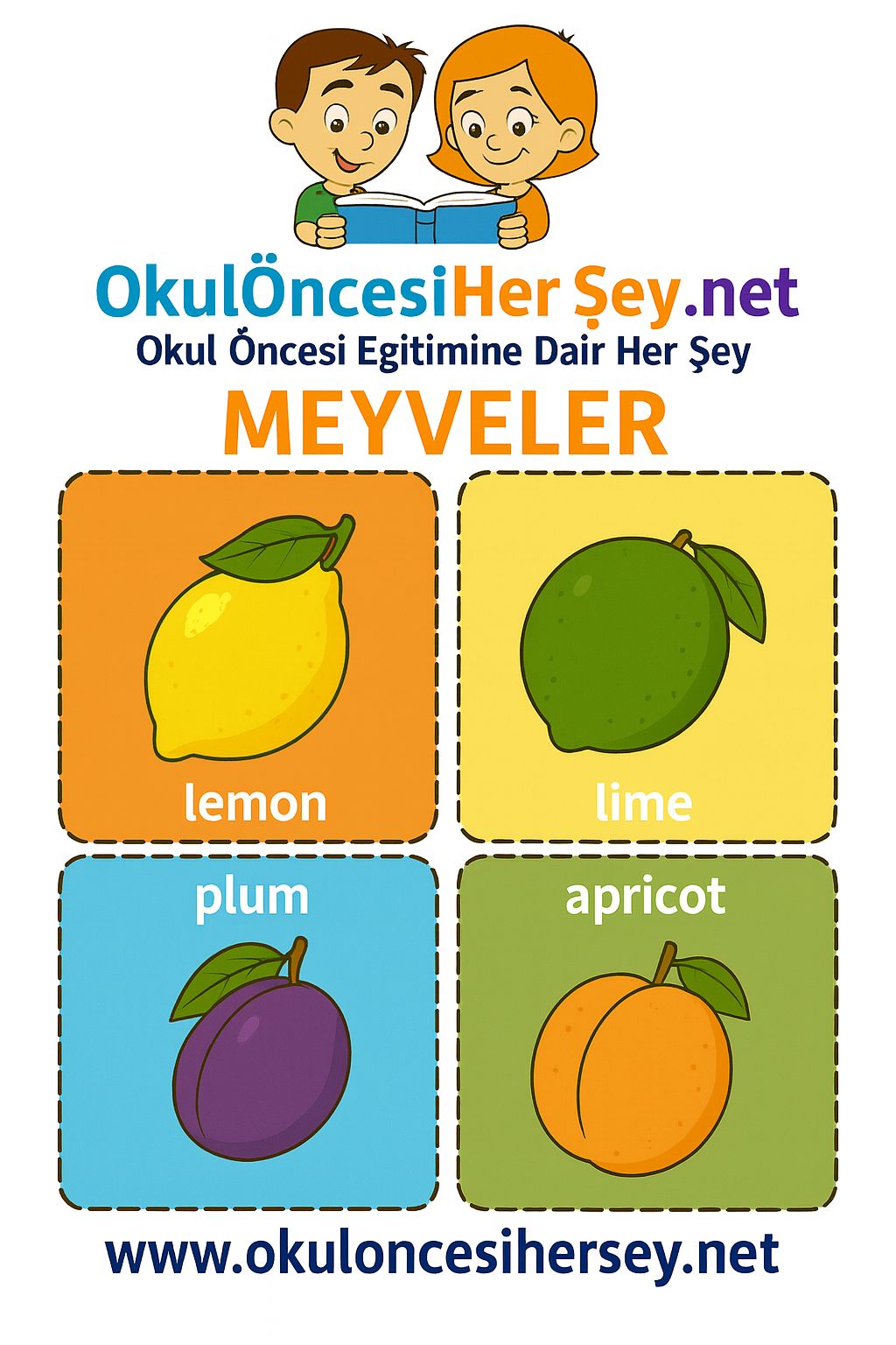 İngilizce Meyveler Flashkart