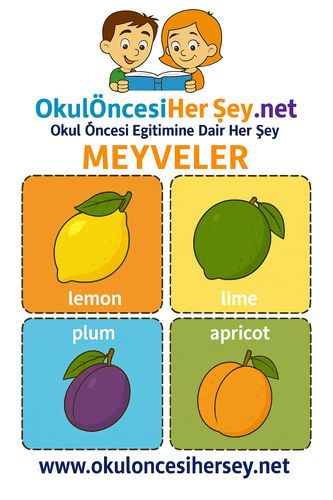 Çocuklar İçin  İngilizce Meyveler Flashkart  