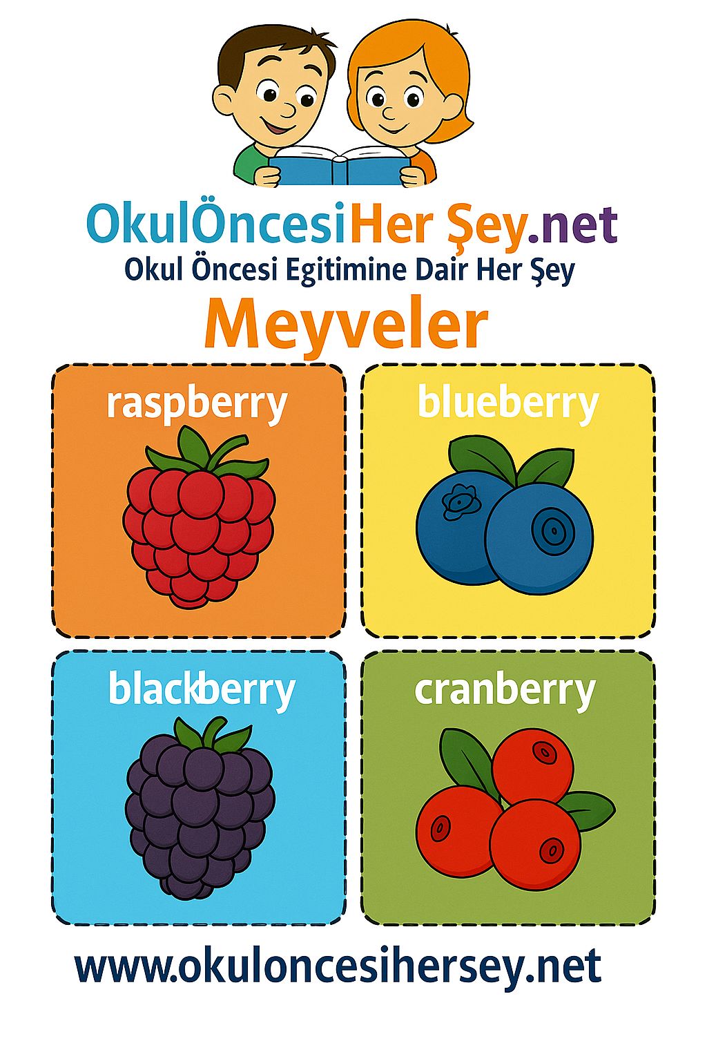 İngilizce Meyveler Flashkart