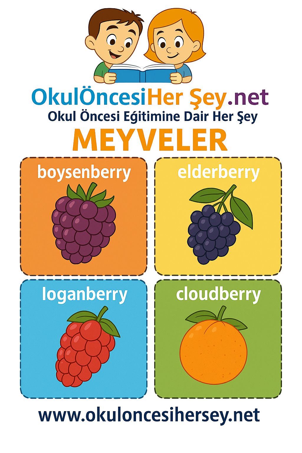 İngilizce Meyveler Flashkart