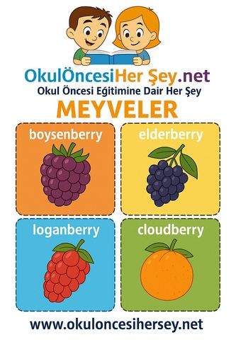 Çocuklar İçin  İngilizce Meyveler Flashkart  