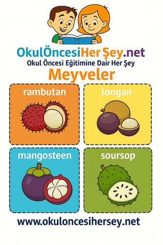 Çocuklar İçin  İngilizce Meyveler Flashkart  