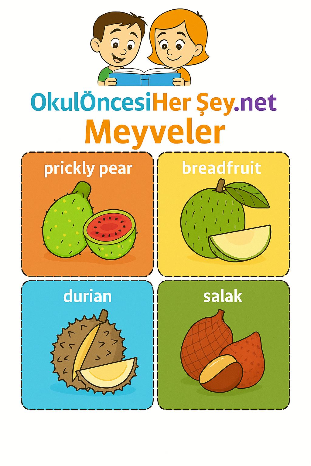 İngilizce Meyveler Flashkart