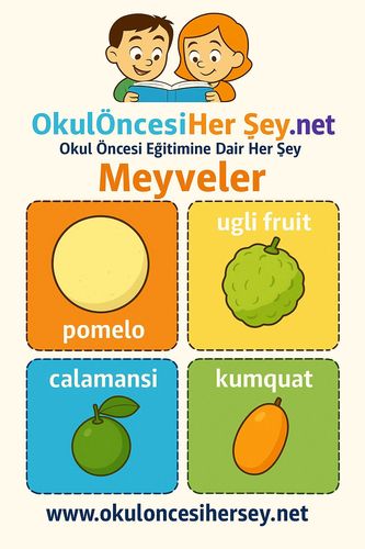 Çocuklar İçin  İngilizce Meyveler Flashkart  