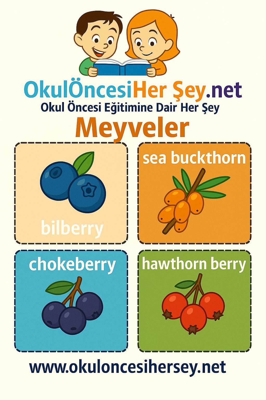 İngilizce Meyveler Flashkart