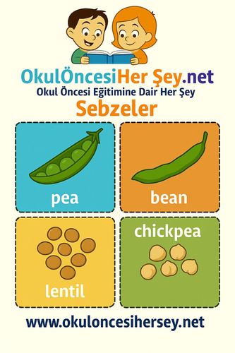 Çocuklar İçin  İngilizce Sebzeler Flashkart  