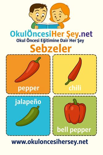 Çocuklar İçin  İngilizce Sebzeler Flashkart  