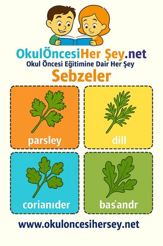 Çocuklar İçin  İngilizce Sebzeler Flashkart  