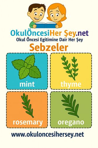 Çocuklar İçin  İngilizce Sebzeler Flashkart  