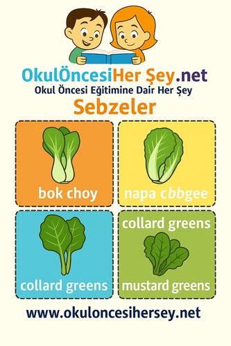 Çocuklar İçin  İngilizce Sebzeler Flashkart  