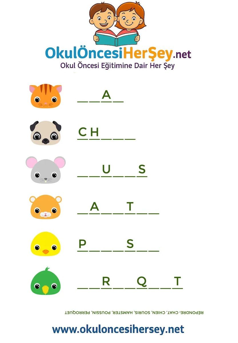 Çocuklar İçin   Hayvanlar  