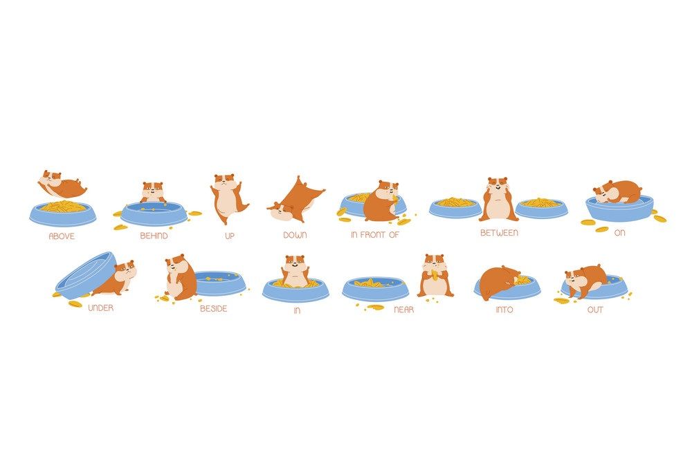 Çocuklar İçin   Prepozition  