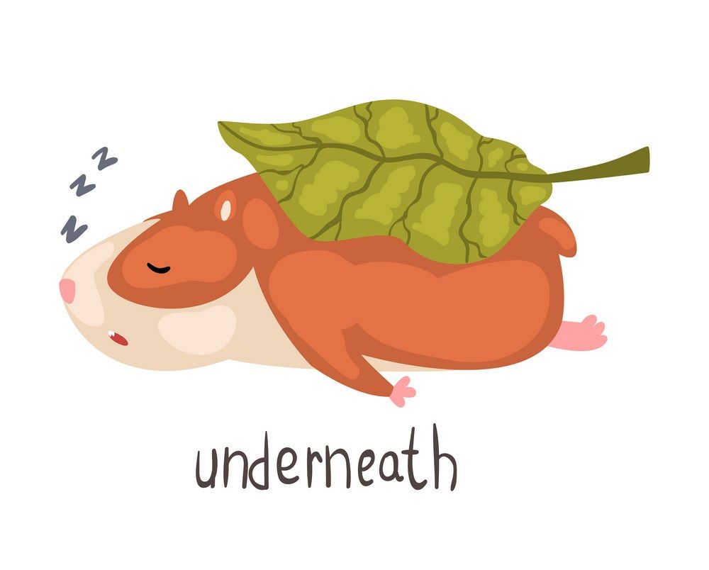 Çocuklar İçin   Prepozition  