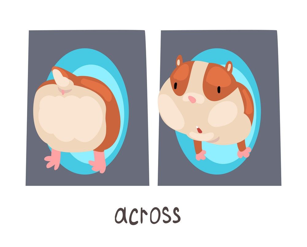 Çocuklar İçin   Prepozition  