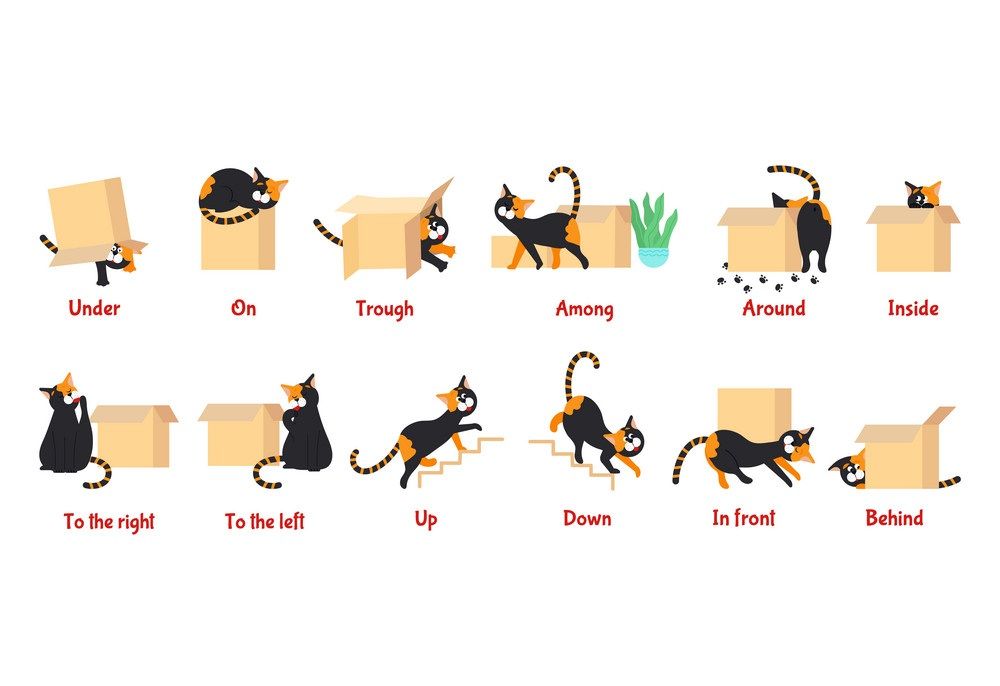 Çocuklar İçin   Prepozition  