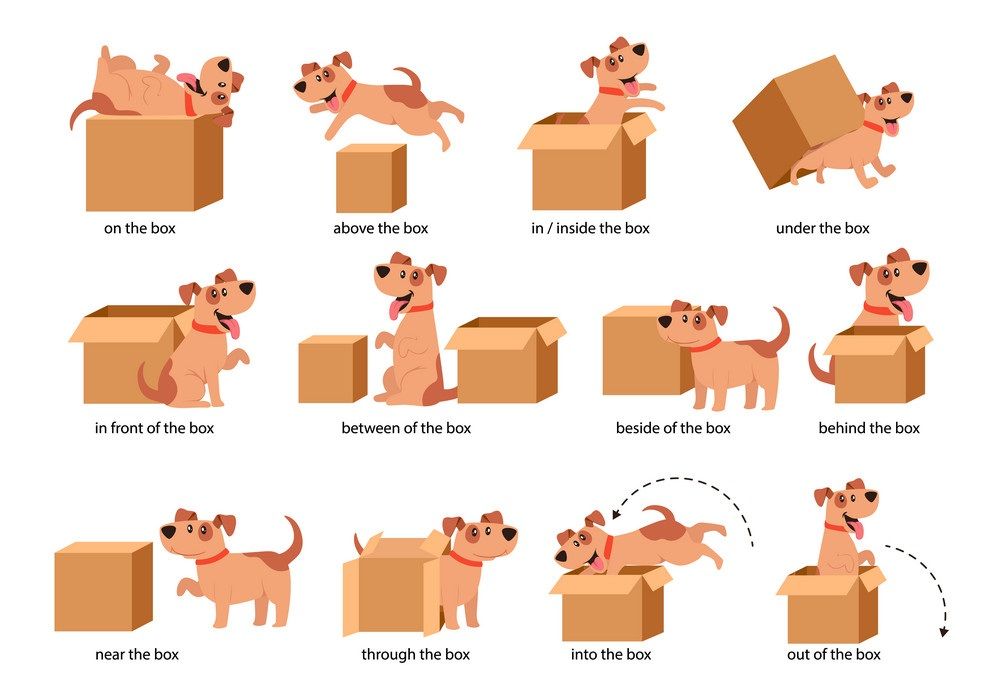 Çocuklar İçin   Prepozition  