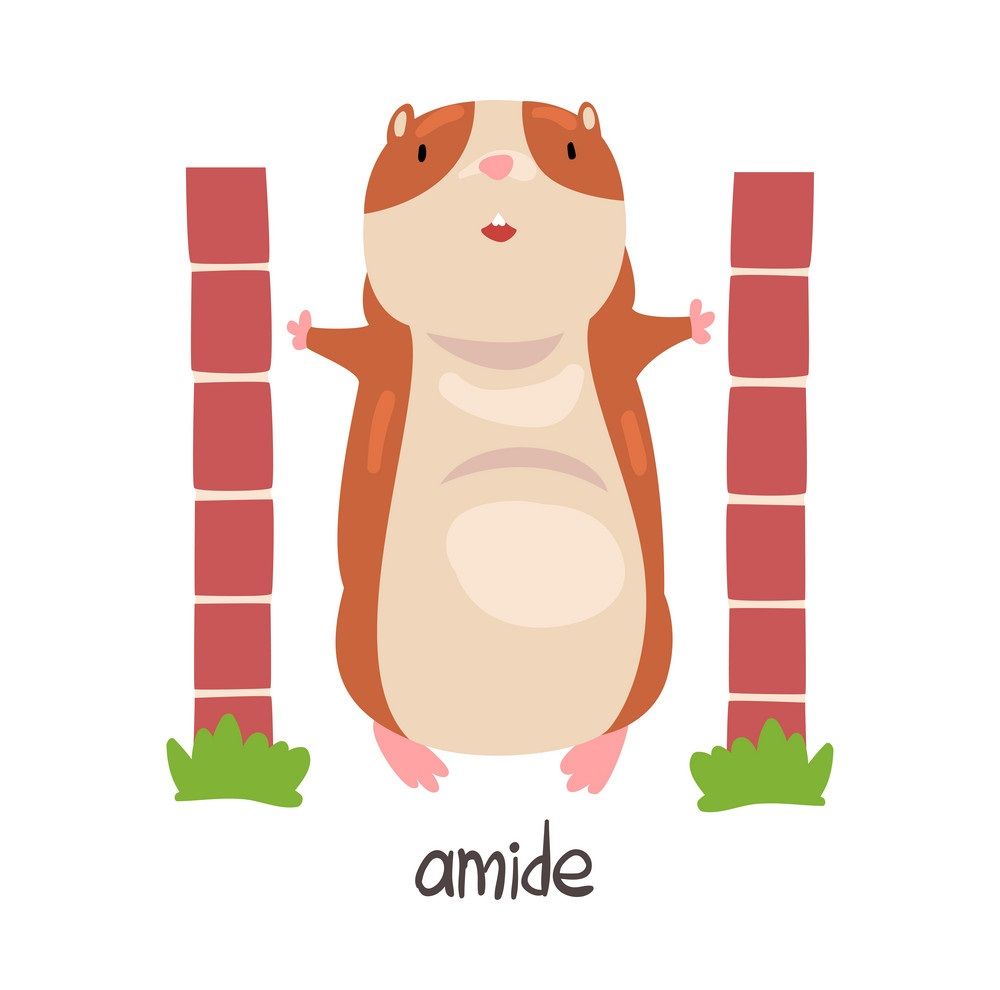 Çocuklar İçin   Prepozition  