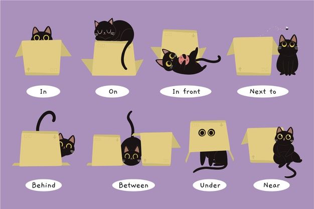 Çocuklar İçin   Prepozition  