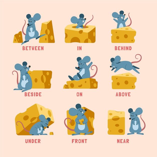 Çocuklar İçin   Prepozition  