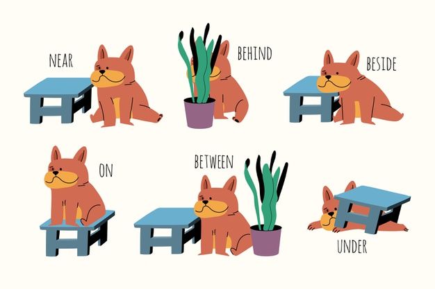 Çocuklar İçin   Prepozition  