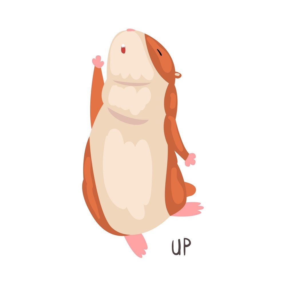 Çocuklar İçin   Prepozition  