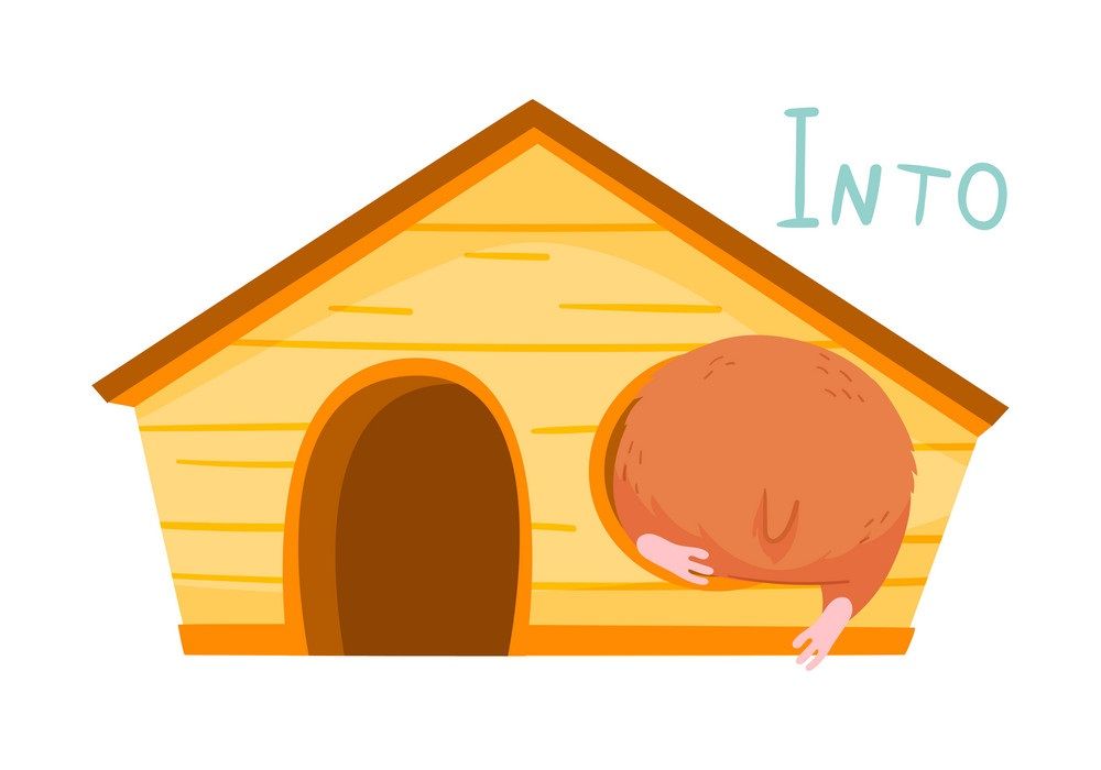 Çocuklar İçin   Prepozition  