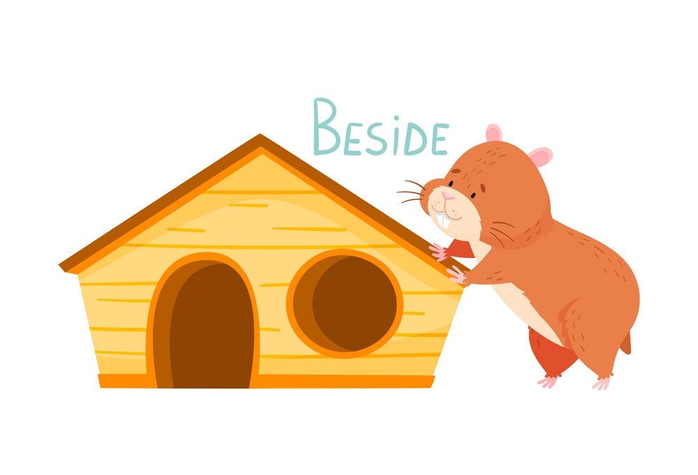 Çocuklar İçin   Prepozition  