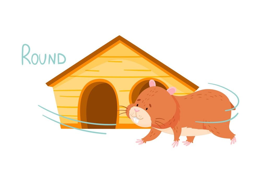 Çocuklar İçin   Prepozition  