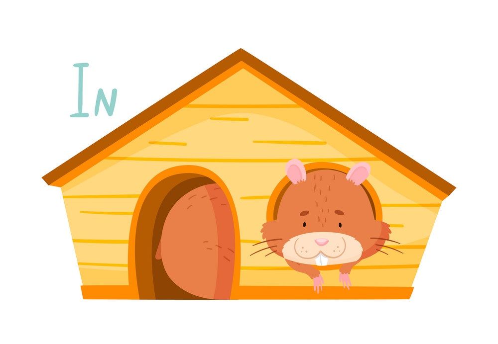 Çocuklar İçin   Prepozition  