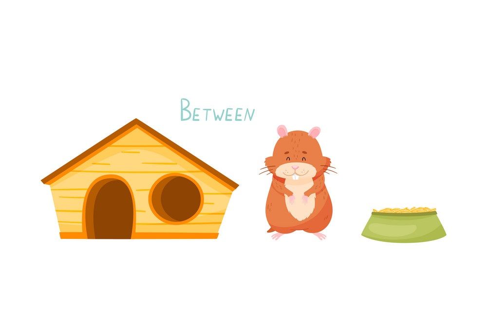 Çocuklar İçin   Prepozition  