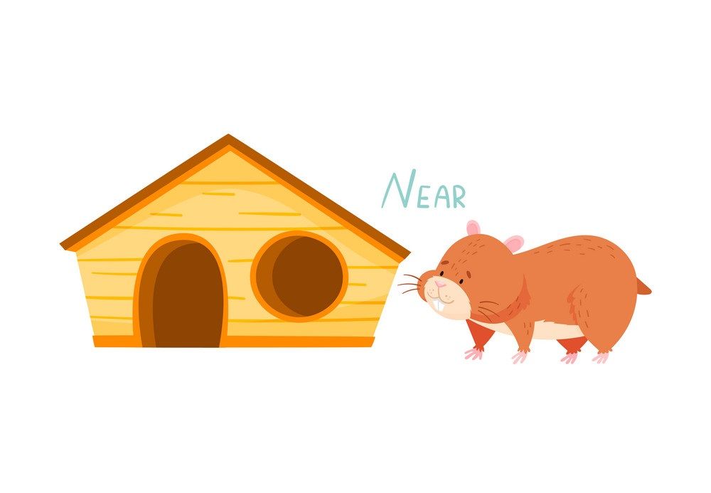 Çocuklar İçin   Prepozition  