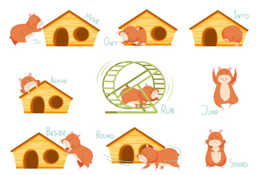Çocuklar İçin   Prepozition  