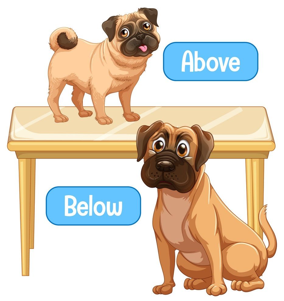 Çocuklar İçin   Prepozition  