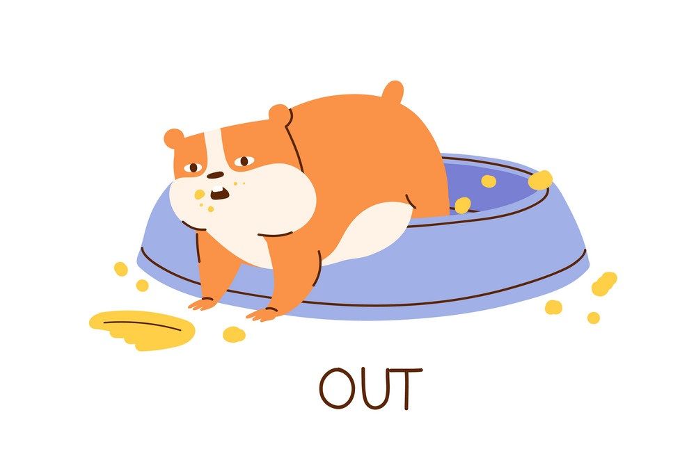 Çocuklar İçin   Prepozition  